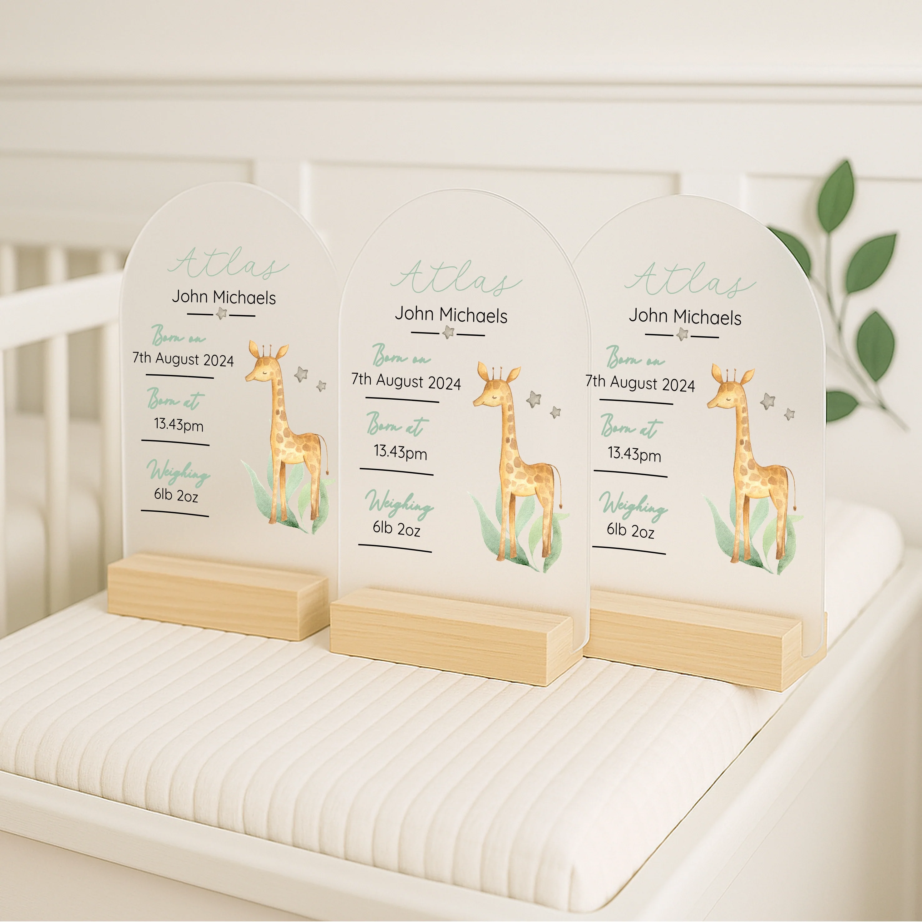 Personalised Giraffe Birth Stats Plaque - Image 2