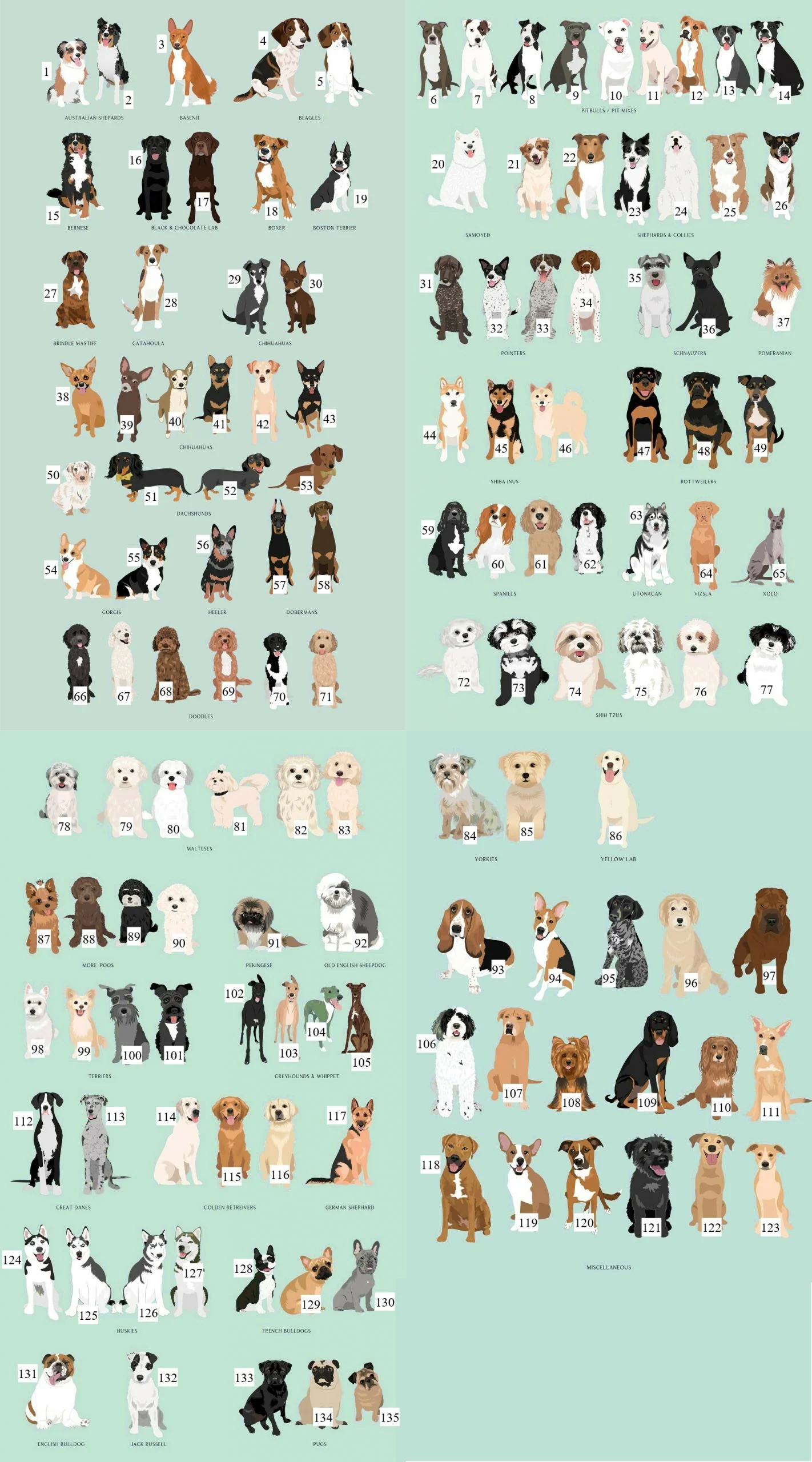 Personalised Loved and Protected By Dogs Romper - Image 4