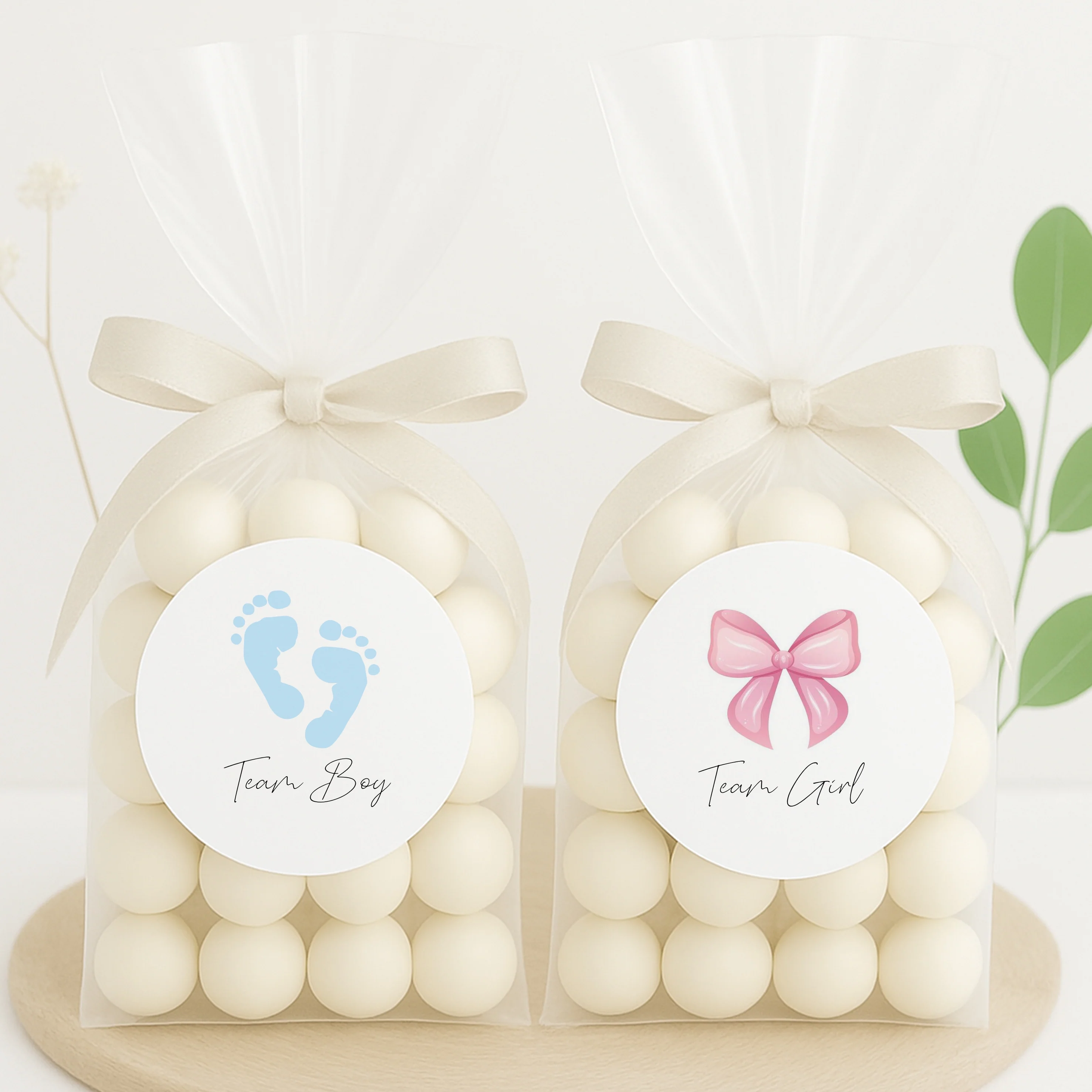Team Boy/Girl Gender Reveal Stickers - Image 2