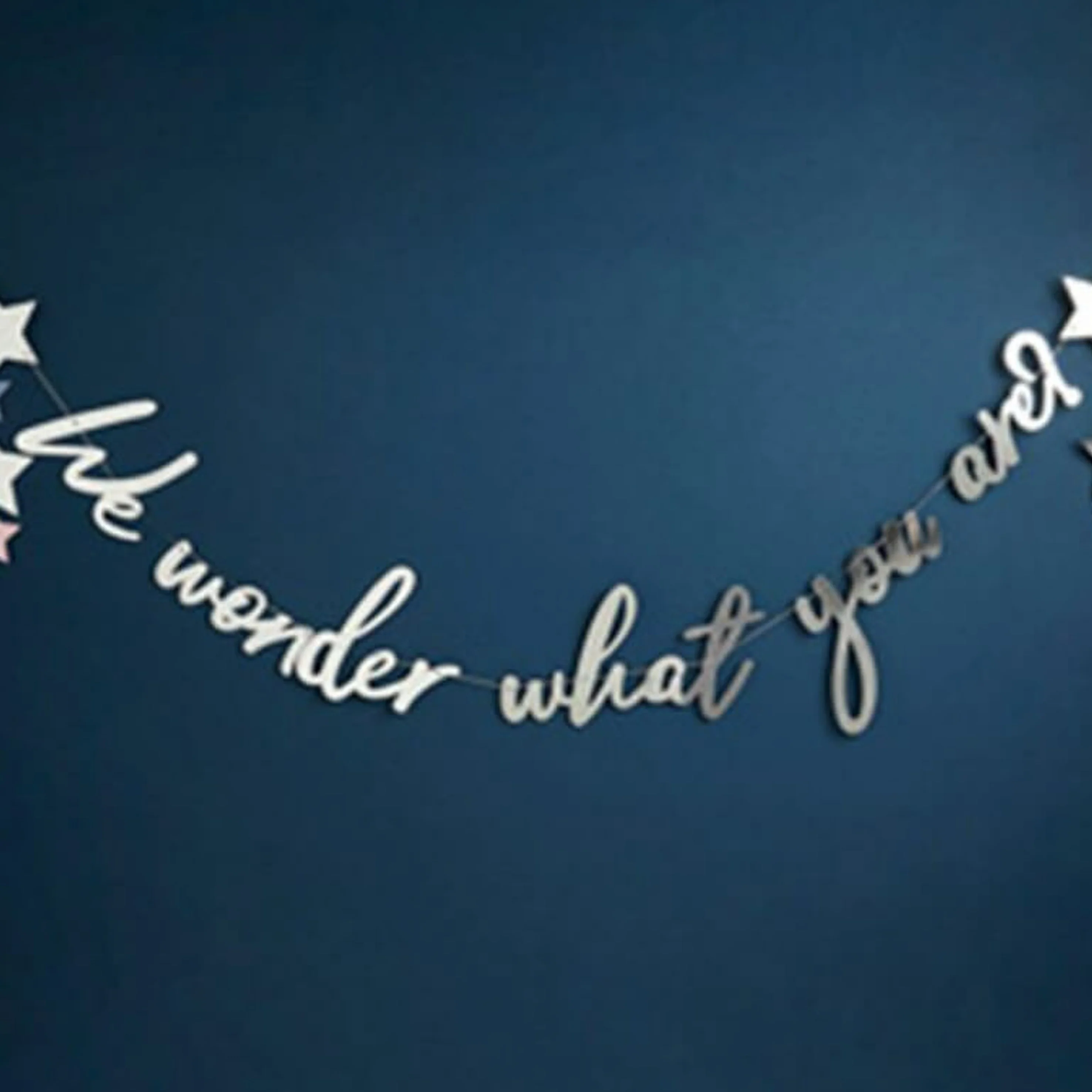 We Wonder What You Are Banner